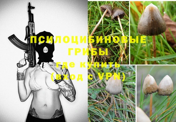 гидропоника Абдулино