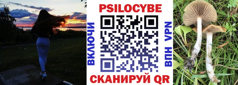 где можно купить Зея Псилоцибиновые грибы мицелий